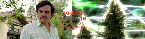 амф Няндома