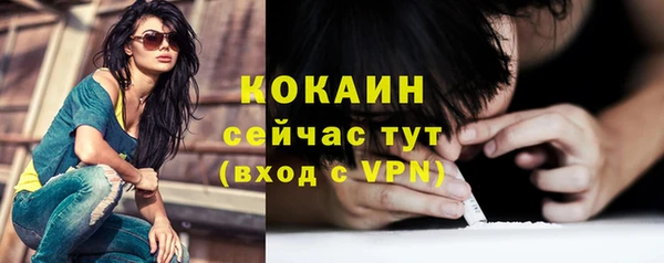 амф Няндома