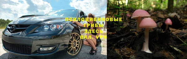 альфа пвп Ветлуга